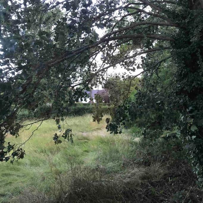 Priory Meadow Cottage Long Bennington Εξωτερικό φωτογραφία