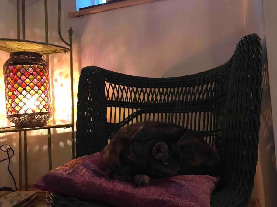Priory Meadow Cottage Long Bennington Εξωτερικό φωτογραφία