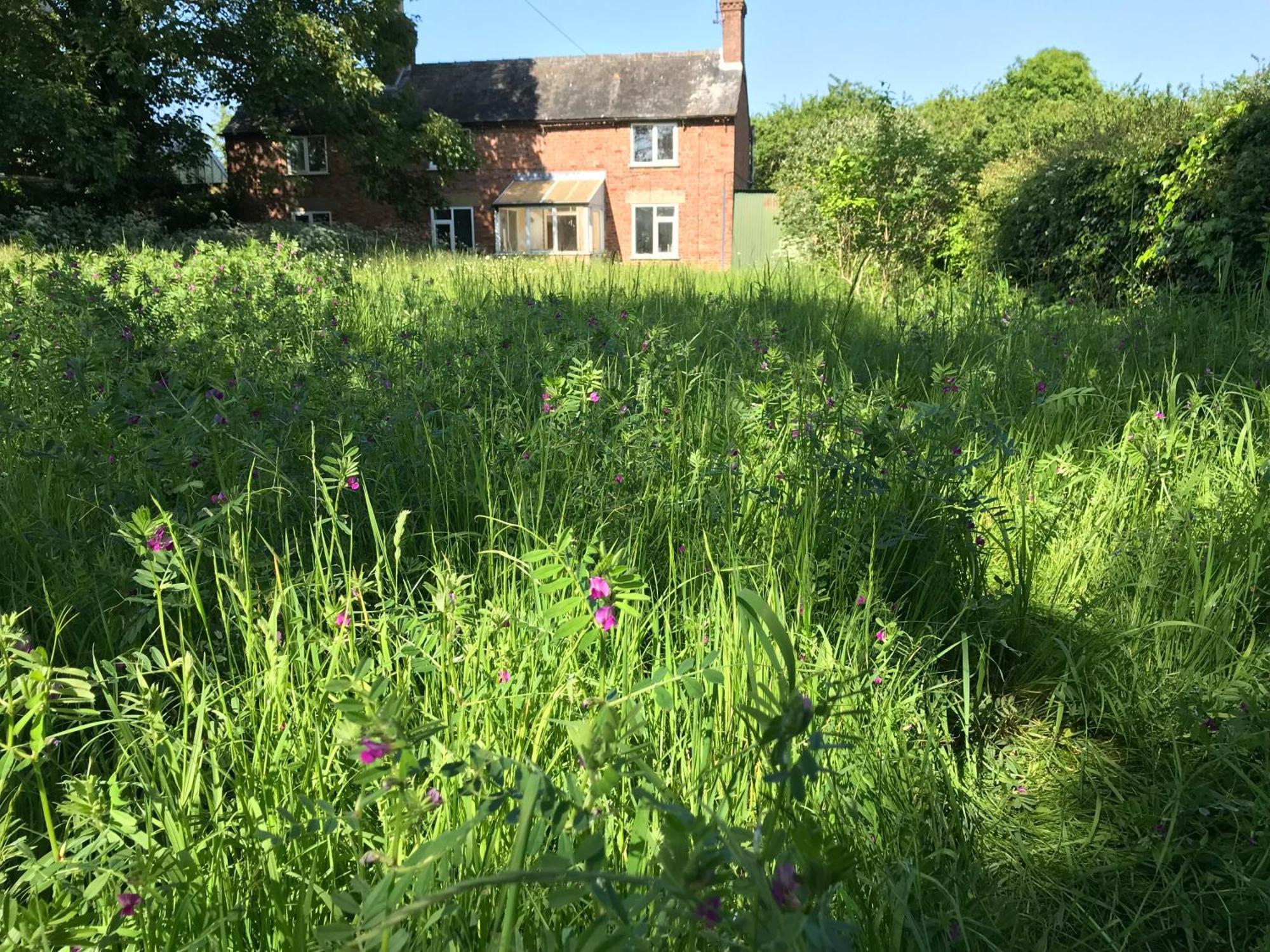 Priory Meadow Cottage Long Bennington Εξωτερικό φωτογραφία
